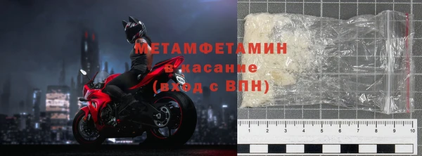 прущие грибы Пролетарск