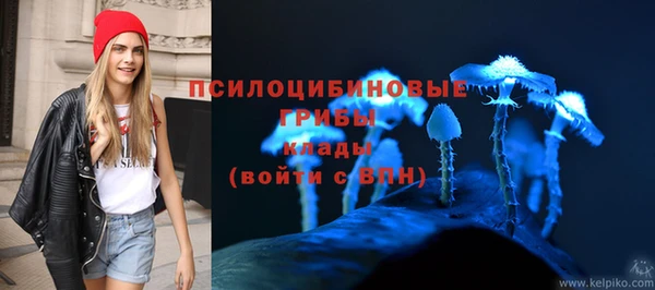 ALPHA PVP Приозерск