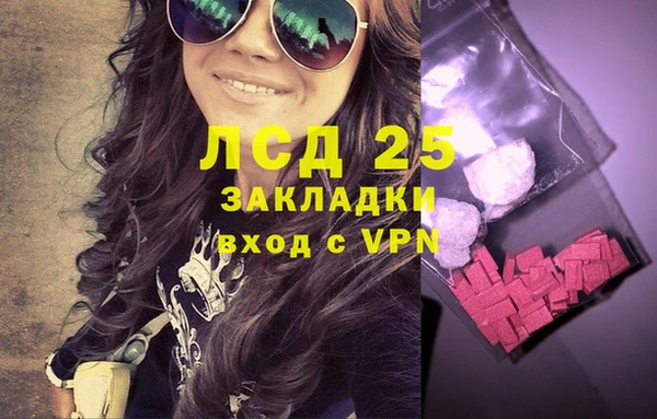 прущие грибы Пролетарск