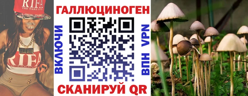 наркошоп  Шахунья  Псилоцибиновые грибы GOLDEN TEACHER 